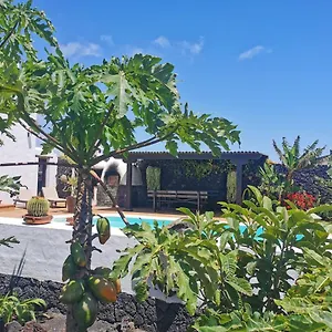 Dragos Appartement